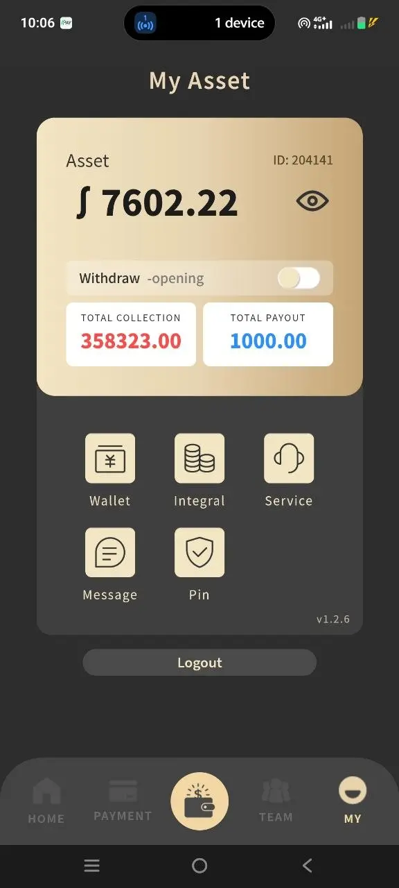 LinkPay My Asset – Balance & Wallet